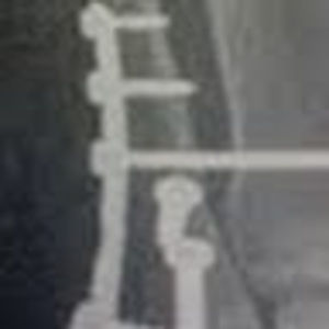 Meet your Posher, Tracie